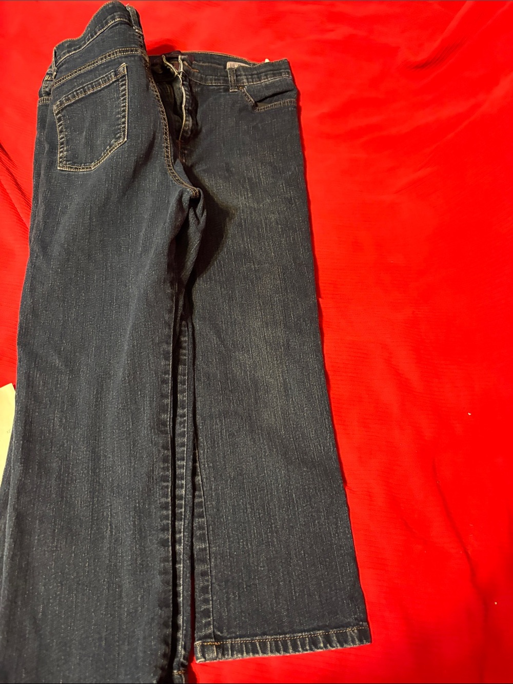 Gloria Vanderbilt women’s pants-Amanda 14p Both together